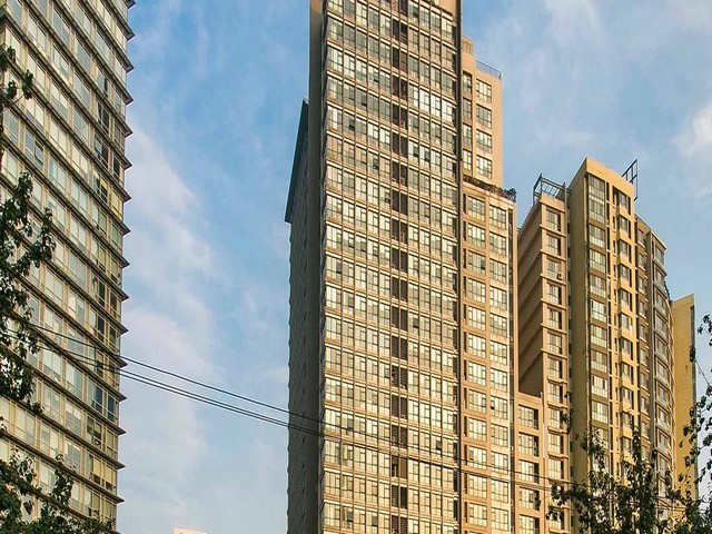 山东优选锯供应商